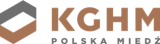 Jak i gdzie kupić akcje KGHM? Przewodnik krok-po-kroku